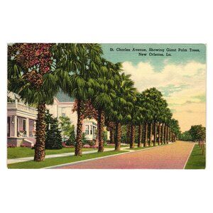 Vintage St Charles Avenue Palm Trees Postcard New Orleans Art Colortone Linen